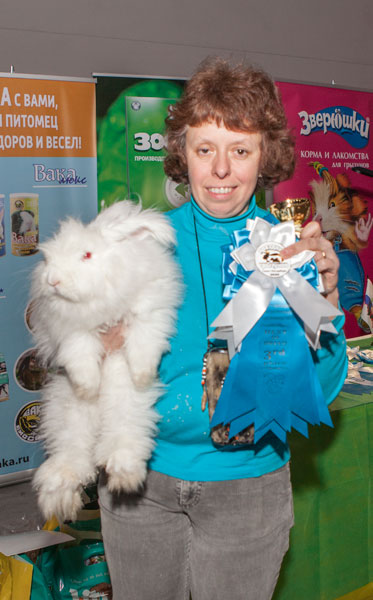 Феофан - белая немецкая ангора, победитель выставки "зоошоу"