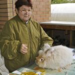 Наталья Николаевна дает рекомендации относительно крола Рыжика
